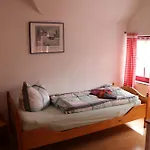 호텔 Zur Weintraube 2*